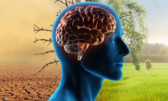 The Earth, Brain, Health Commission: How to Preserve Mental Health in a Changing Environment